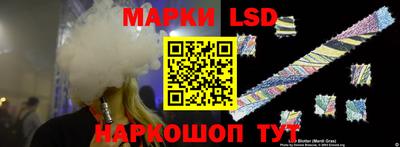 индика Камышлов