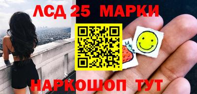 индика Камышлов
