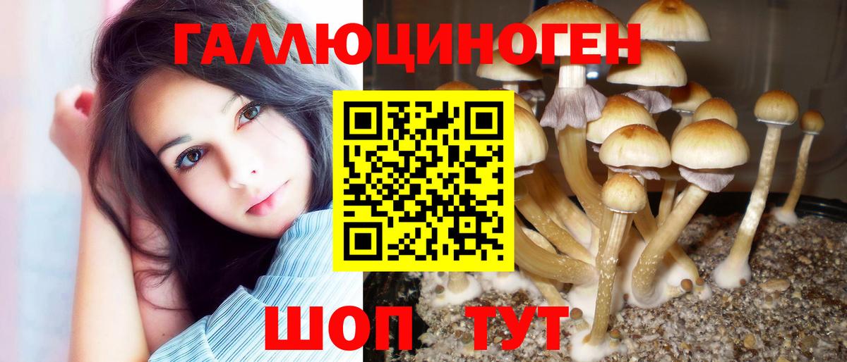 Псилоцибиновые грибы ЛСД Чебаркуль