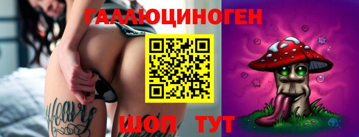 Галлюциногенные грибы Psilocybine cubensis  Вход с VPN  Чебаркуль 